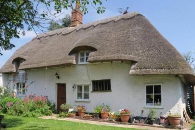 Entire Thatched Cottage Melbourn Εξωτερικό φωτογραφία
